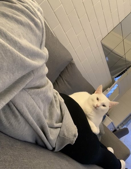 blowjob amateur nur fans heiße beste galerien