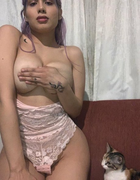 pennylovlov schöne exklusive galerien