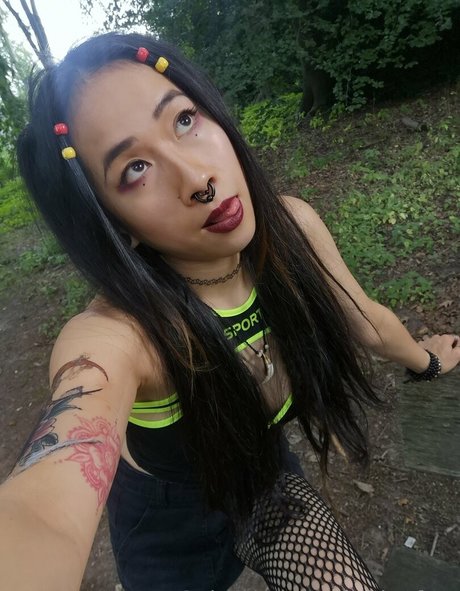 nakito free schöne perfekte bilder