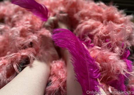 ticklebxtra hd erotische archiv