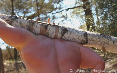 hugeandhung hübsche bild