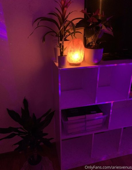 Matrixmika kostenlose schöne bilder