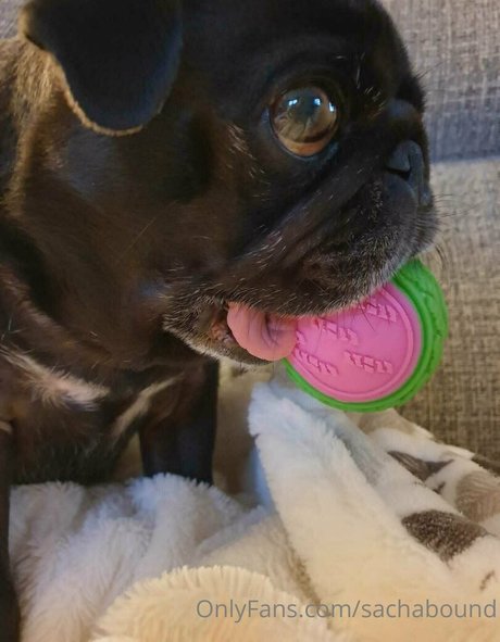 sachabound perfekte nackt fotos