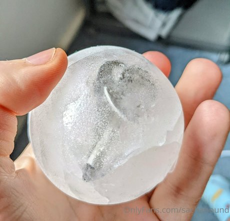 sachabound exklusive hübsche foto