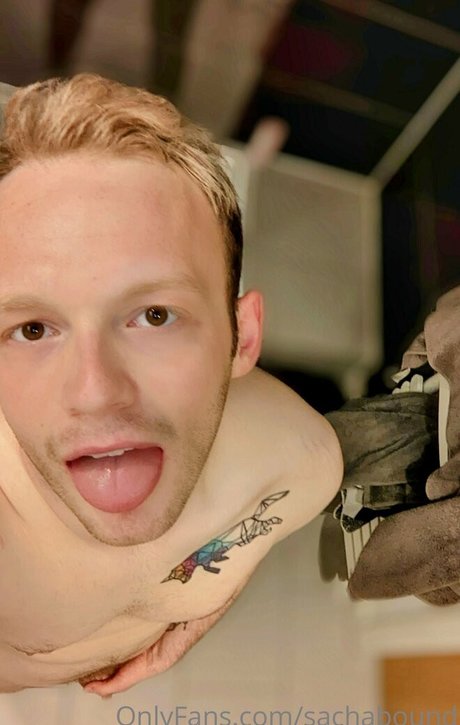 sachabound erwachsene hübsche foto