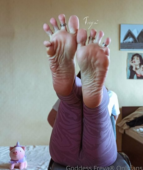 amateur-cuckold-onlyfans heiße pornographische galerien