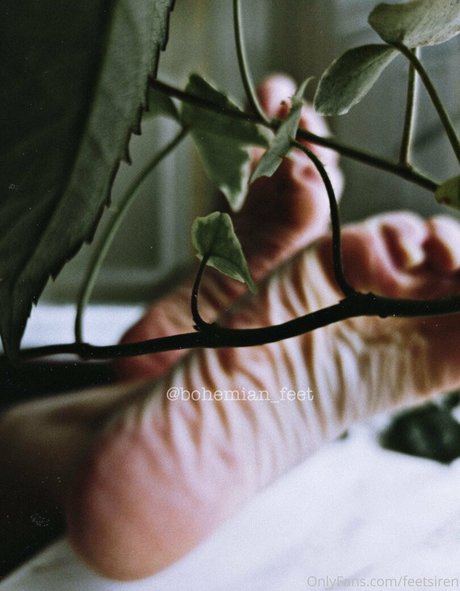 siren goddess pornostar akt archiv