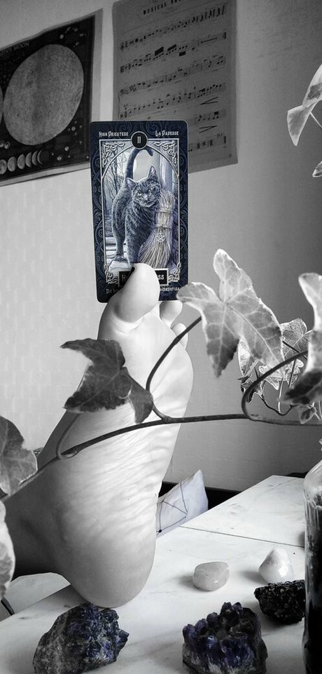 siren goddess hd sex fotos