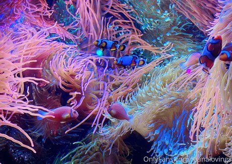 leanalovings nackt akt galerien