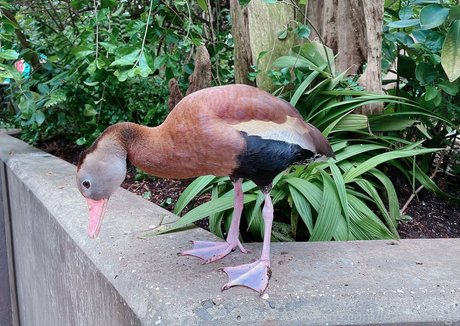 leanalovings schauspielerin nette archiv