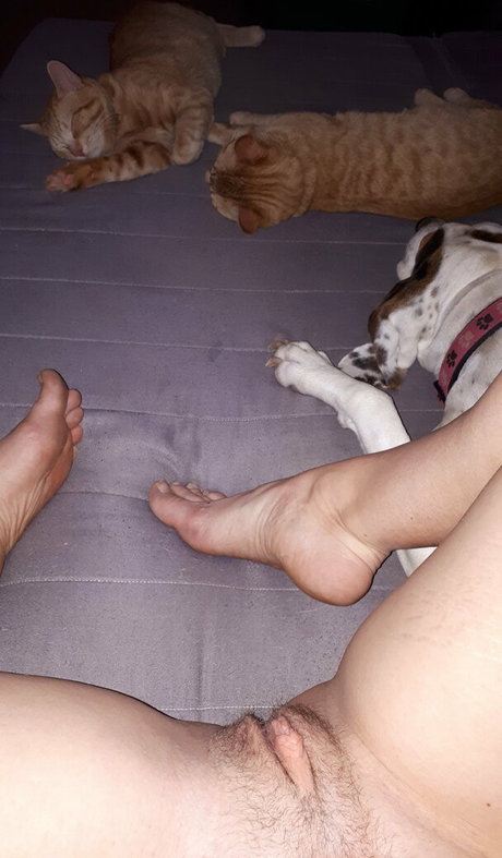 summer reid nacktheit porno archiv