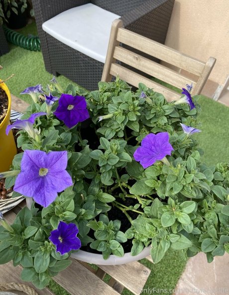 dilf onlyfans sexy nackt galerie