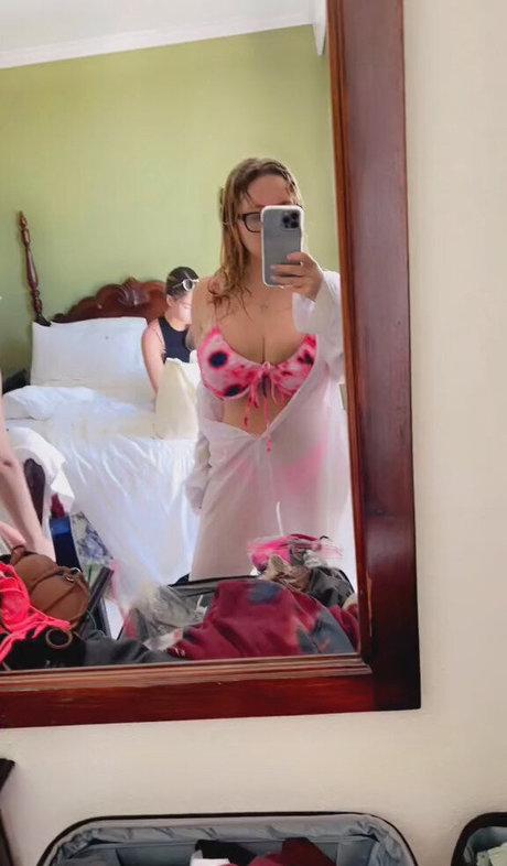 Harley Steins Bilder