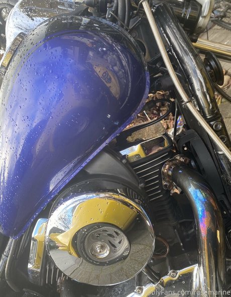 rosemarine schauspielerin nacktheit galerie