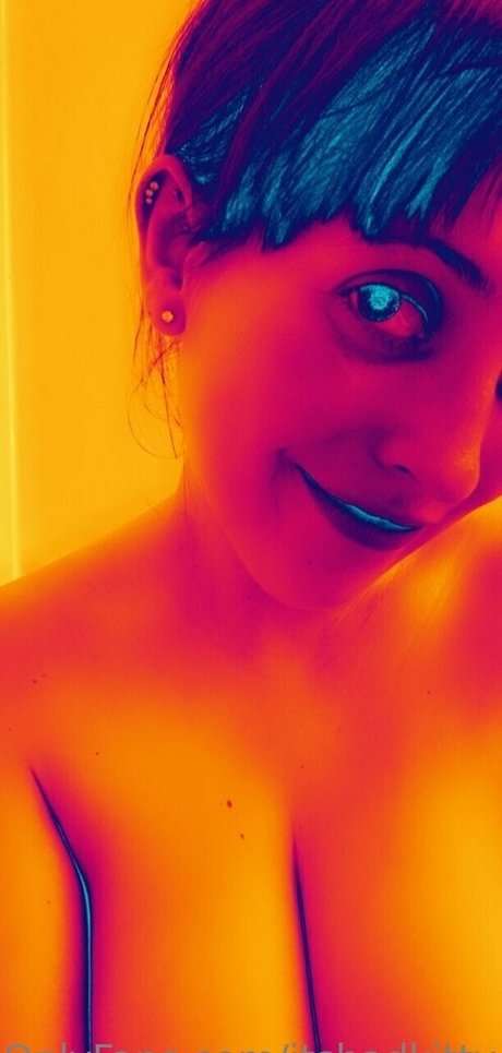 Itsbadkittyof hd freie bilder