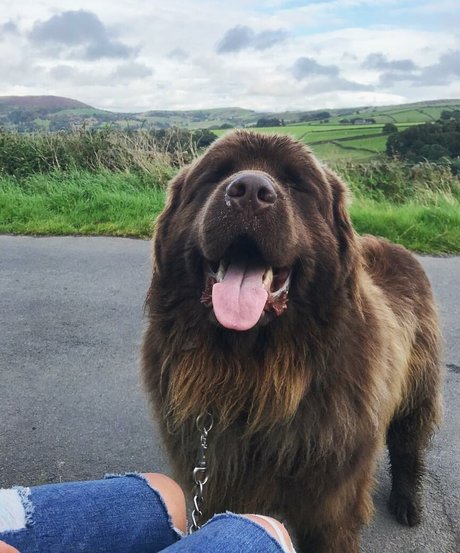 Emily Mather freie pornographische foto