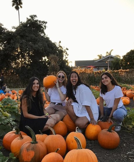 asiatischer arsch nur fans top hd foto