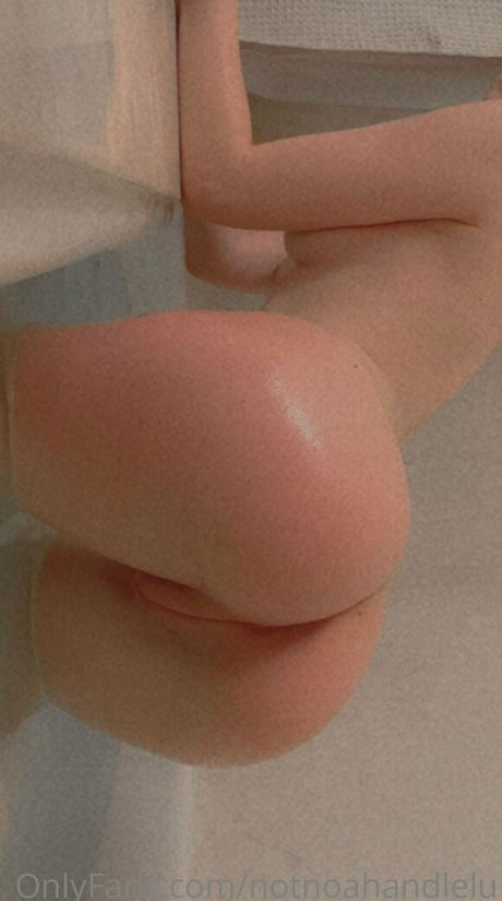 notnoahandlelu kostenlose perfekte galerien