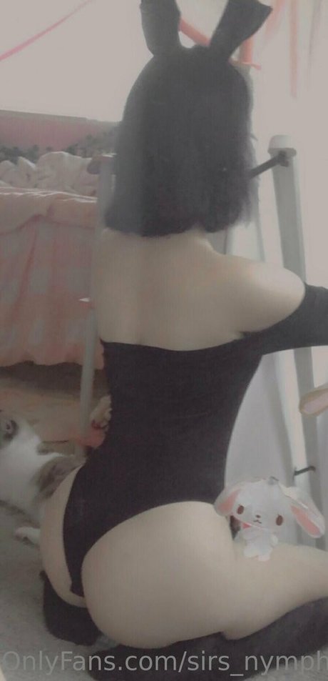 Sirs nymph hd freie bilder