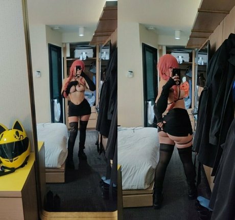 knie nur fans beste exklusive galerie