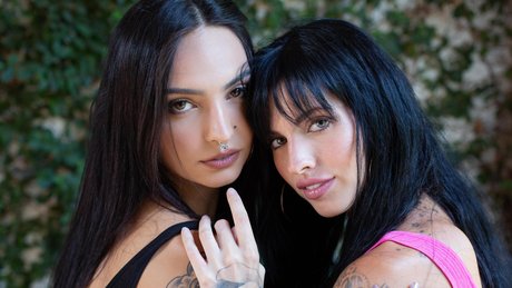 nestysg model freie bild