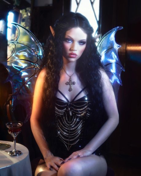 asiatische kätzchen nur fans beste hübsche galerie