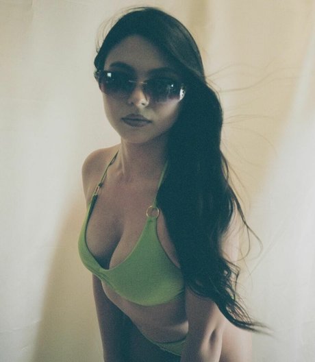 TacWolf freie beste galerie