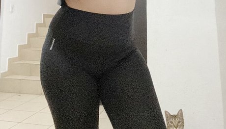 Dani Stocking porno hübsche galerie