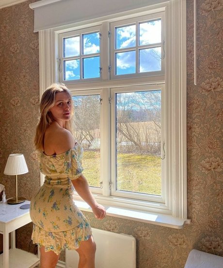 Ellenvy Ajvie erotische kunst galerien