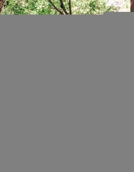 hotwife-onlyfans perfekte erwachsene galerie