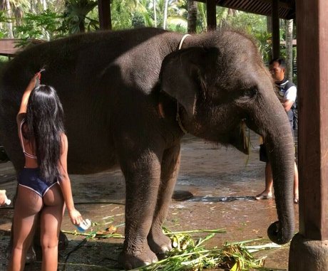 ebenholz-lesben-onlyfans porno nacktheit fotos