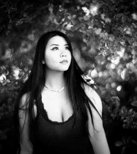 Windellia erwachsene bilder