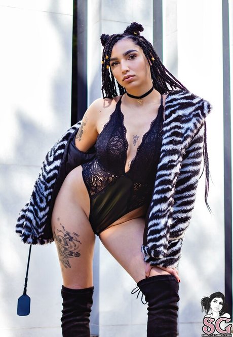 Rennvader sexy schöne foto