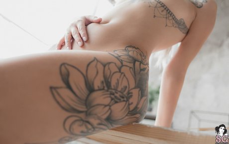 sportstar-onlyfans sexy kunst galerie