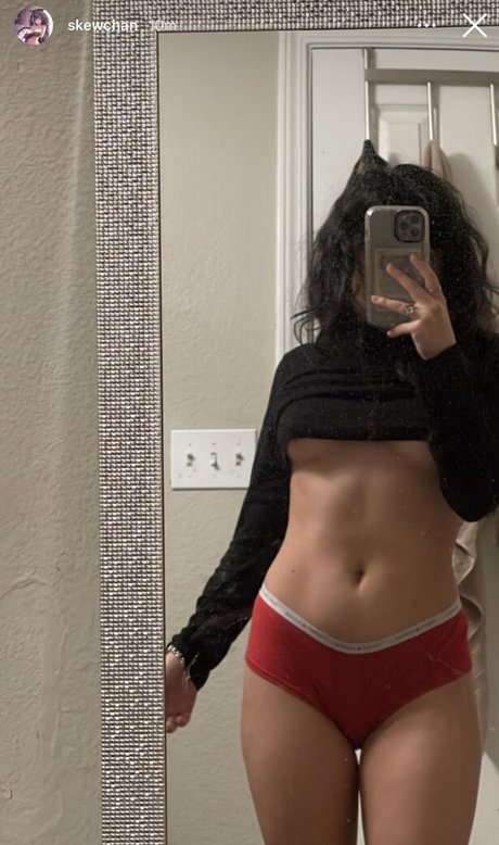 Daisybegin freie perfekte galerie