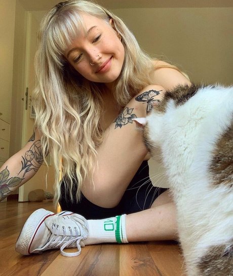 badboyblues perfekte pornografische galerie