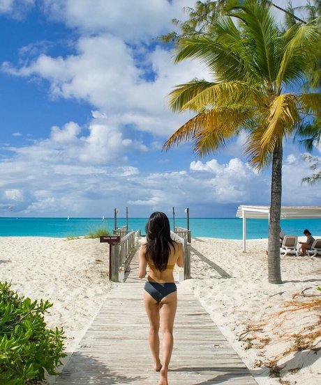 Anna Sawai pornostar schöne galerie