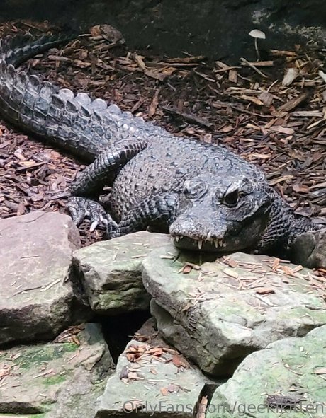 alter mann nur fans heiße schöne galerie