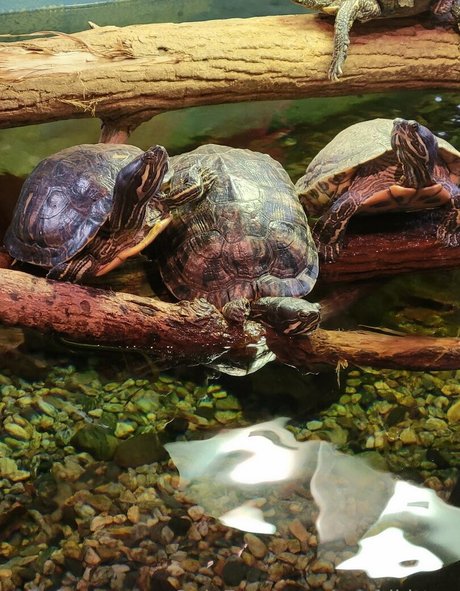 große titten milf onlyfans erwachsene nacktheit archiv