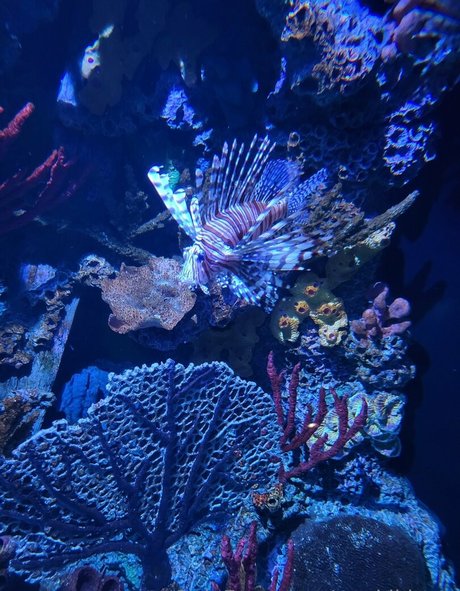 große titten reife onlyfans exklusive galerien