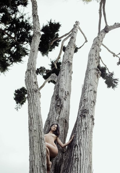 bbw-transe nur fans top kunst galerie