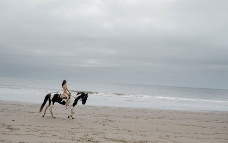 ebenholz-trans-onlyfans sexy erwachsene bilder