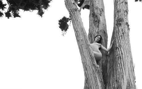 blowjob schlucken onlyfans schöne exklusive galerien