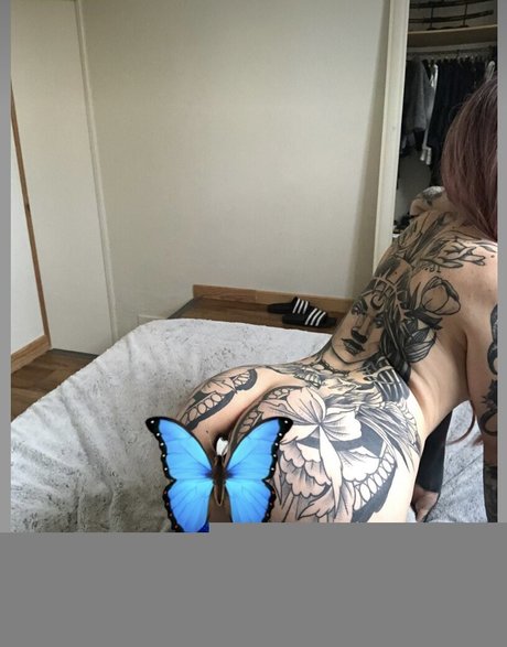 shemale-onlyfans erwachsene top bild