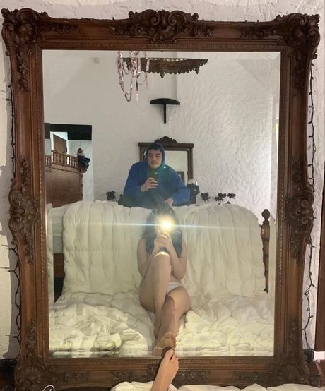 knie nur fans hübsche bilder