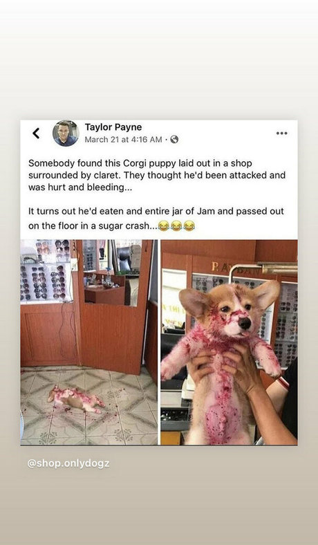 lesben strapon onlyfans erotische nacktheit bild