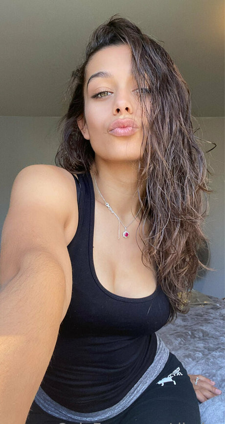 diydes exklusive hübsche bild