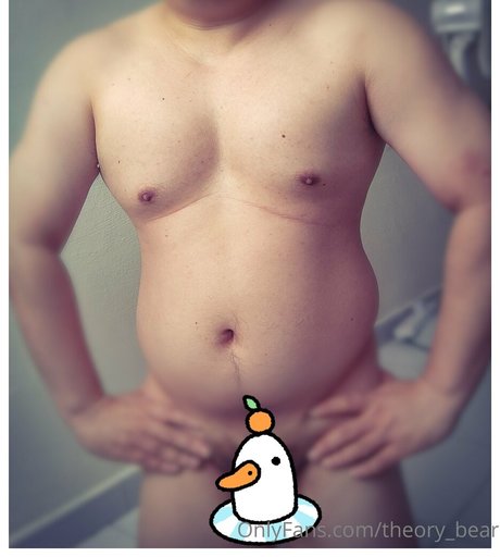 theory bear freie schöne galerie