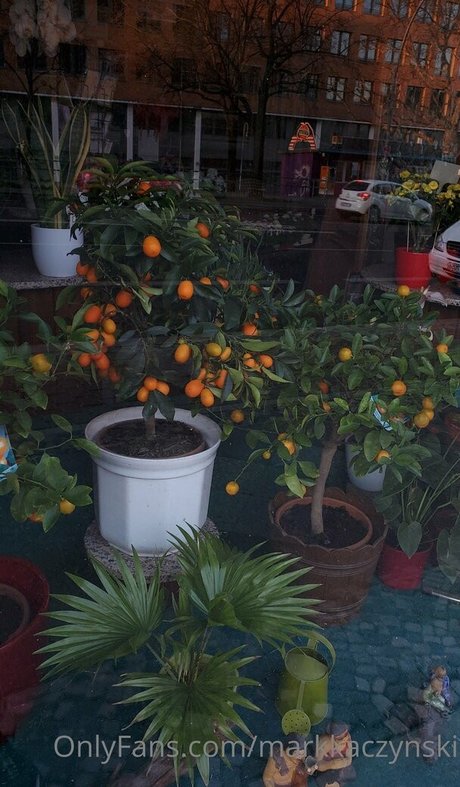 nerdygirl onlyfans perfekte erotische foto