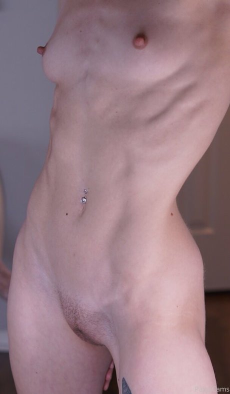 paigecams hübsche freie foto